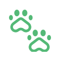 Paws